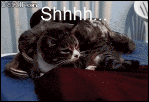 1368495112692.gif