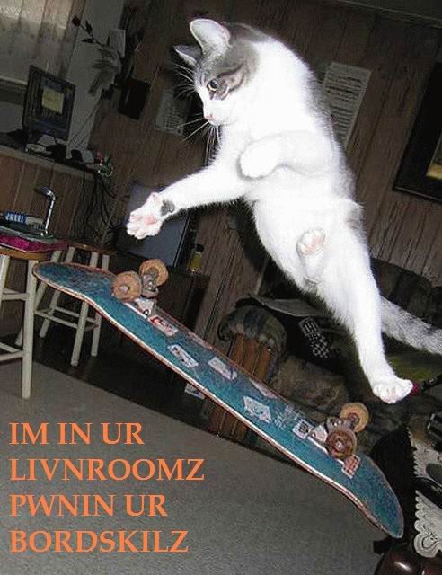 board.jpg