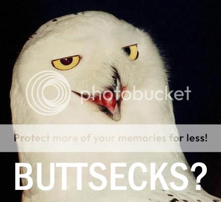 buttsecks-1.jpg