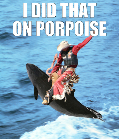 i-did-that-on-porpoise.jpg