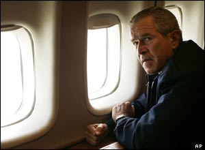 _40753370_bush_300.jpg