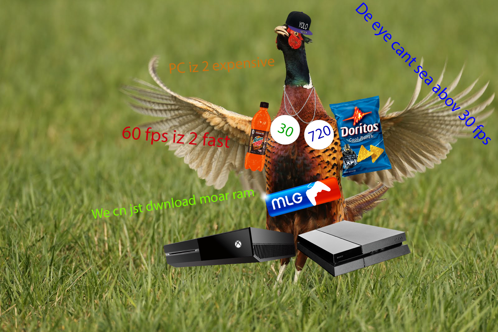qtJrv8j.png