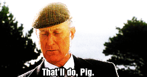 tumblr_mg701fcdoX1qb2gfxo1_500.gif