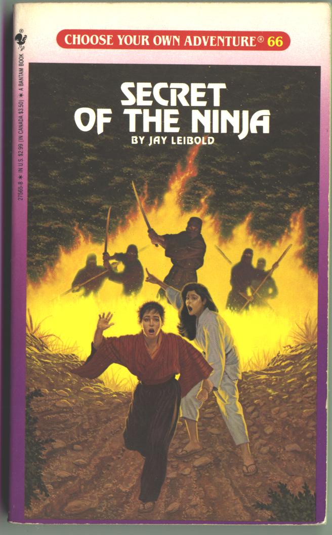 cyoa066n.jpg