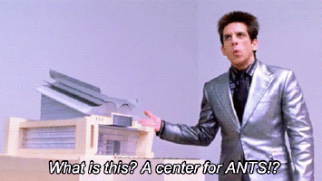 tumblr_inline_ntplqzCo2g1r1lqbj_500.gif
