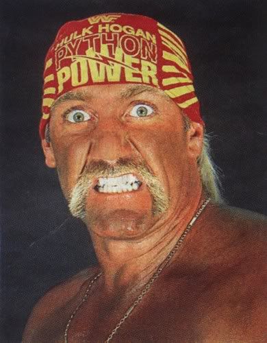 hulkamania22.jpg