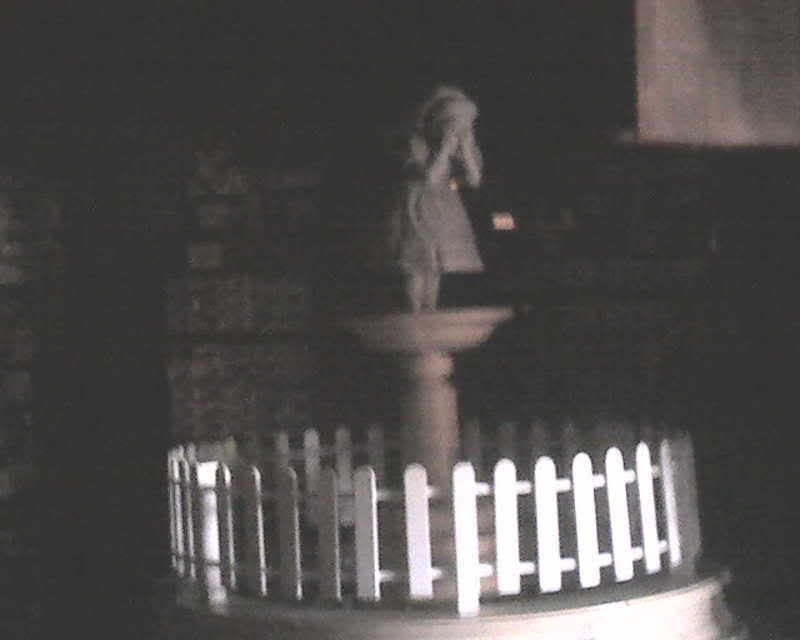img132.jpg