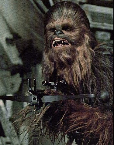 chewie_chewbacca_in_star_wars.jpg