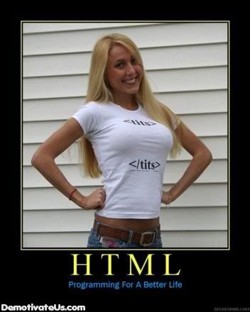 html-tits-demotivational-poster.jpg