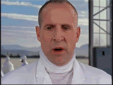 unpimpzeotto.gif