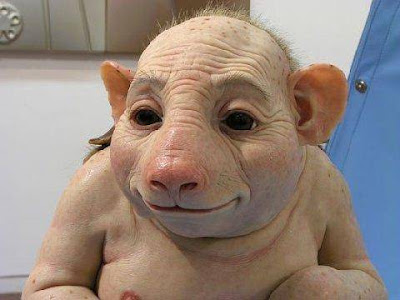 PIG+FACE.jpg