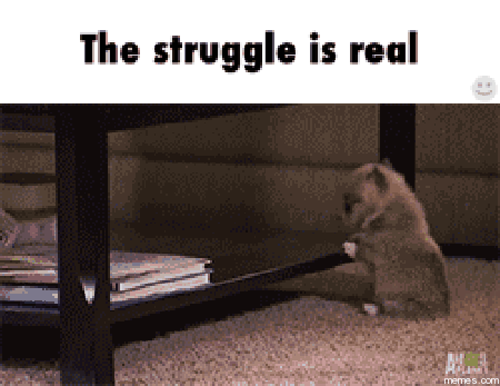 bd7.gif