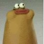 lol.gif