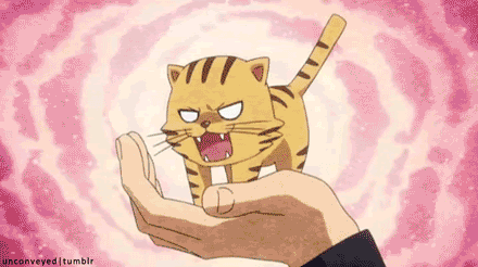 tumblr_ndktasKu9R1tlazn5o1_500.gif
