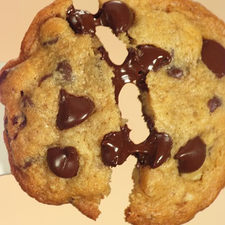 cookie20b.jpg