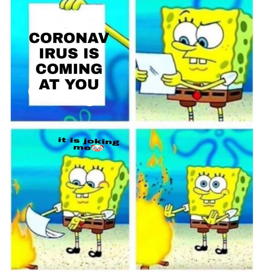 pkmbq.jpg