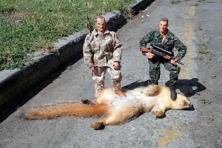 squirrel-untitled-2.jpg