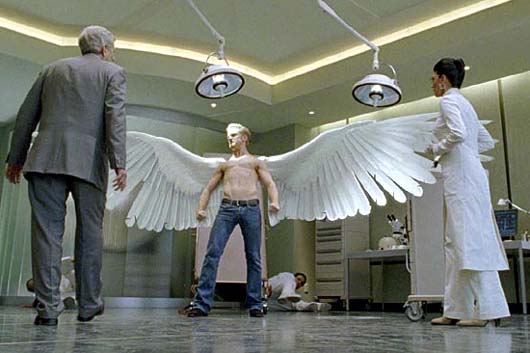 x-men_3_angel_2_.jpg