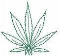 420.jpg