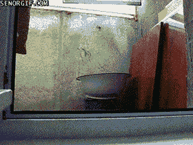snk-1.gif
