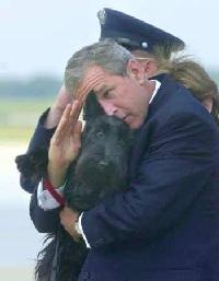 salute-dogz.JPG