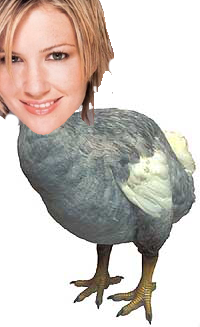 Fcdhawz.png