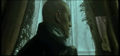 1uZkZxO.gif