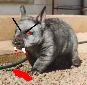 angrywombat.jpg