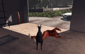 giphy.gif