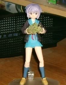 yuki.jpg