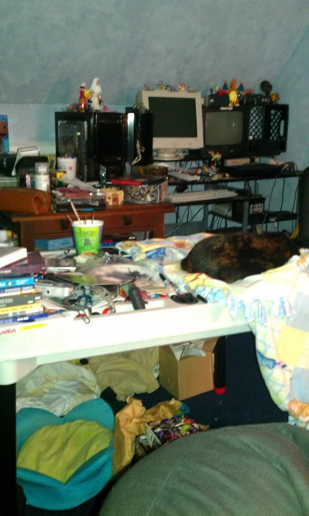 IMAG0211.jpg