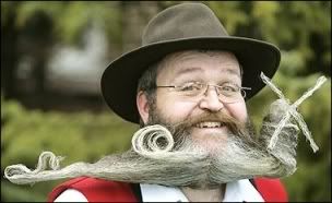 Beard-windmill2.jpg