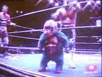 1201594852990.gif