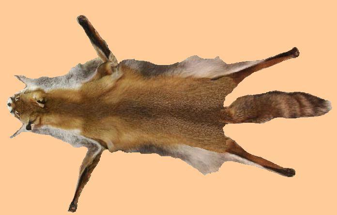 270-sz-kep.jpg