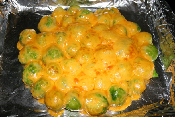 picVHJBX5.jpg