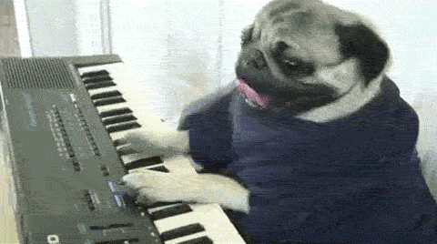tumblr_l8nzwqco2G1qzil04o1_500.gif