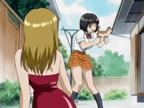 8a0b6362b6bfe41d30cfc25ec90c7a23dc53f913_hq.gif