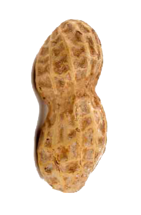 GMfda.png