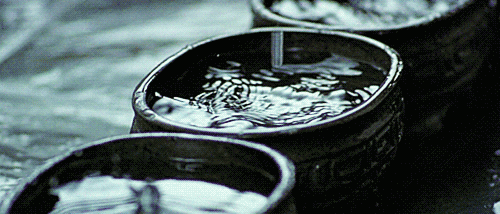 tumblr_lxqx3uAF361qzxhjjo1_500.gif