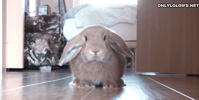 ySpx8rI.gif