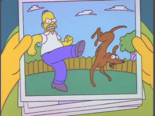 tumblr_mg4odyV36v1rwl09fo1_500.gif