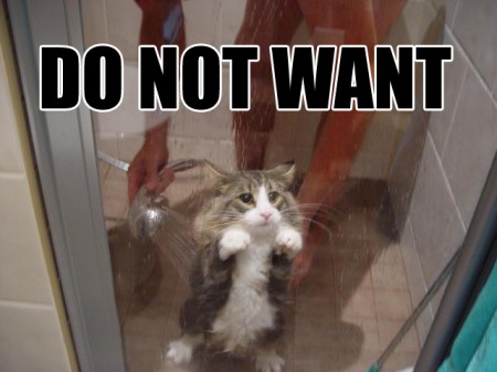 do-not-want-e1278429386867.jpg