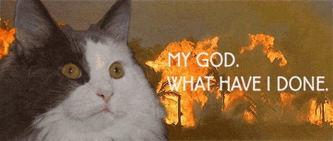 200.gif