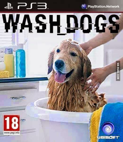 wash+dogs.jpg