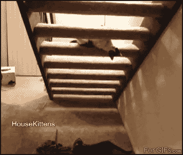 0TkJU.gif