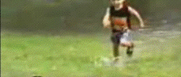 Mrevr.gif