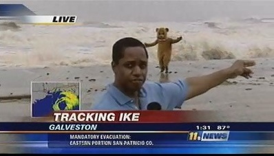 hurricane_ike_bear.jpg