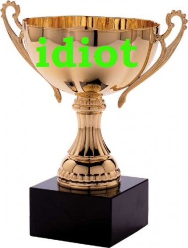 idiot-award-379x500.jpg