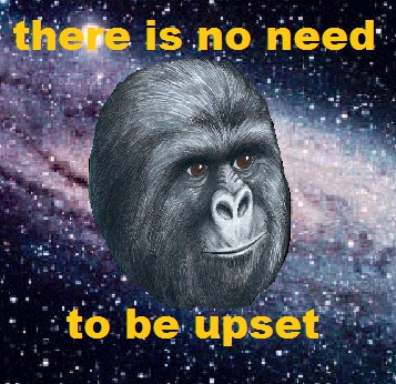 tumblr_mcvo5vH6rh1r96x1xo1_400.png