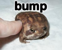 bump12.jpg